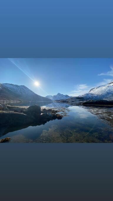 Sjarmerende Anneks I Sigerfjord, Vesteralen Sortland Exteriör bild