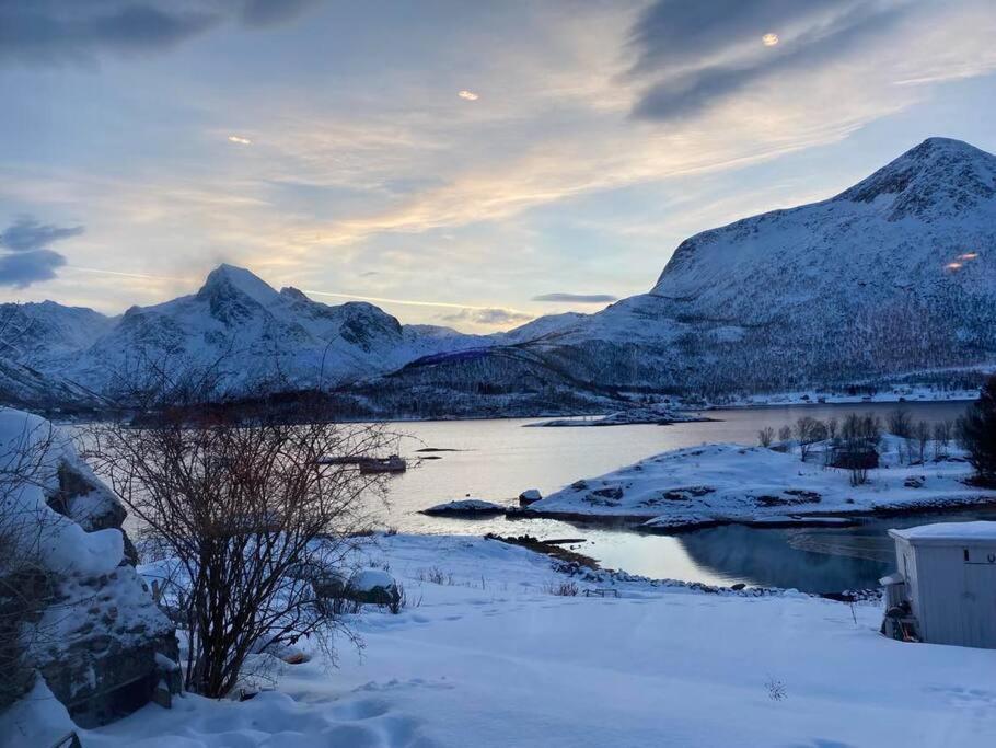 Sjarmerende Anneks I Sigerfjord, Vesteralen Sortland Exteriör bild